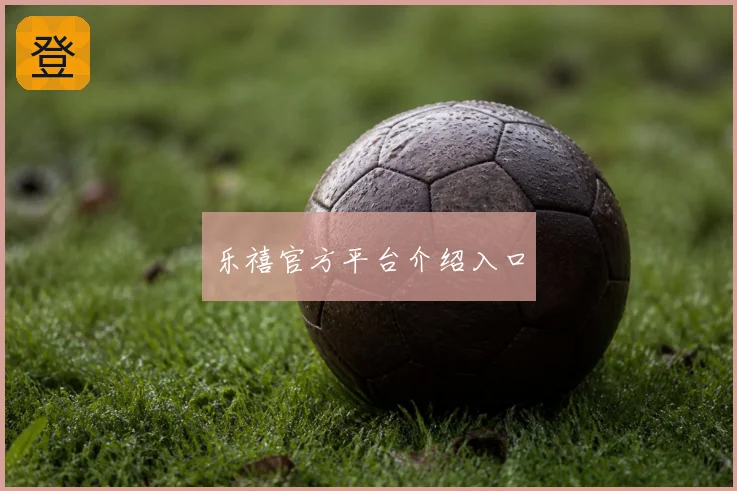 乐禧官方平台介绍入口
